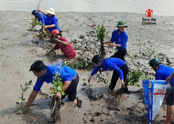 Planting mangroves
