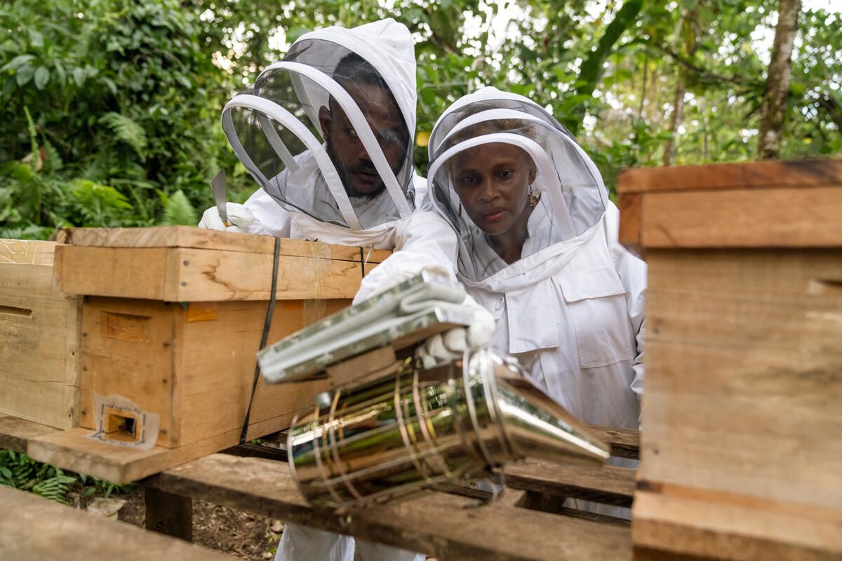 Alison takes part in a bee-keeping workshop led by Noah. In collaboration with local NGO, Mai Maaasina Green Belt, our Nature Based Solutions project aims to restore protective ecosystems like mangroves in the Solomon Islands. Image: Conor Ashleigh / Save the Children