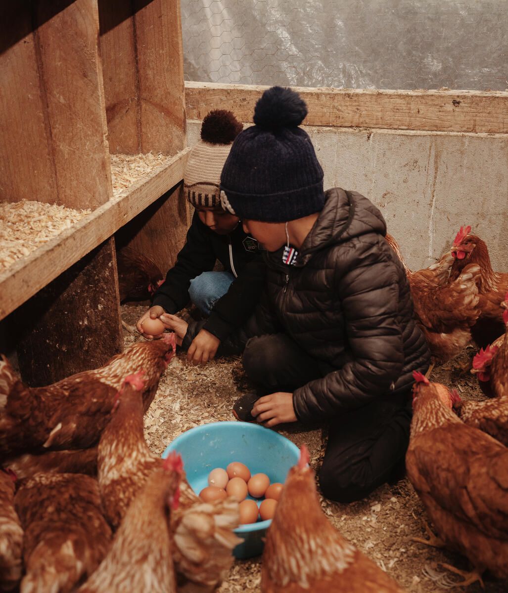 Brothers Tomás, 9, and Edizon, 7, collect eggs on their farm in Quiche, Guatemala
