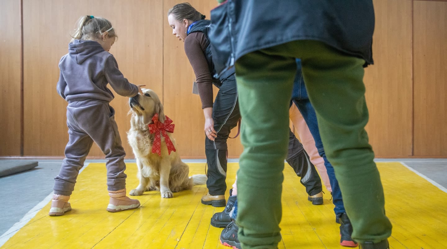 Iryna*, 7, and other children play with therapy dog Parker at a school in Kyiv, Ukraine.