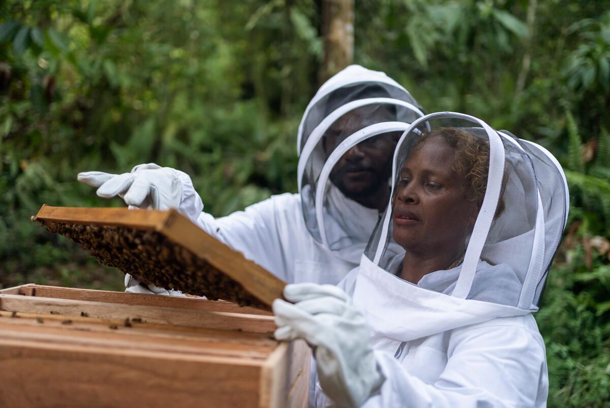 Alison and beekeeping trainer Noah inspect a hive at the training site in Malaita Province, the Solomon Islands. Photo: Conor Ashleigh / Save the Children 