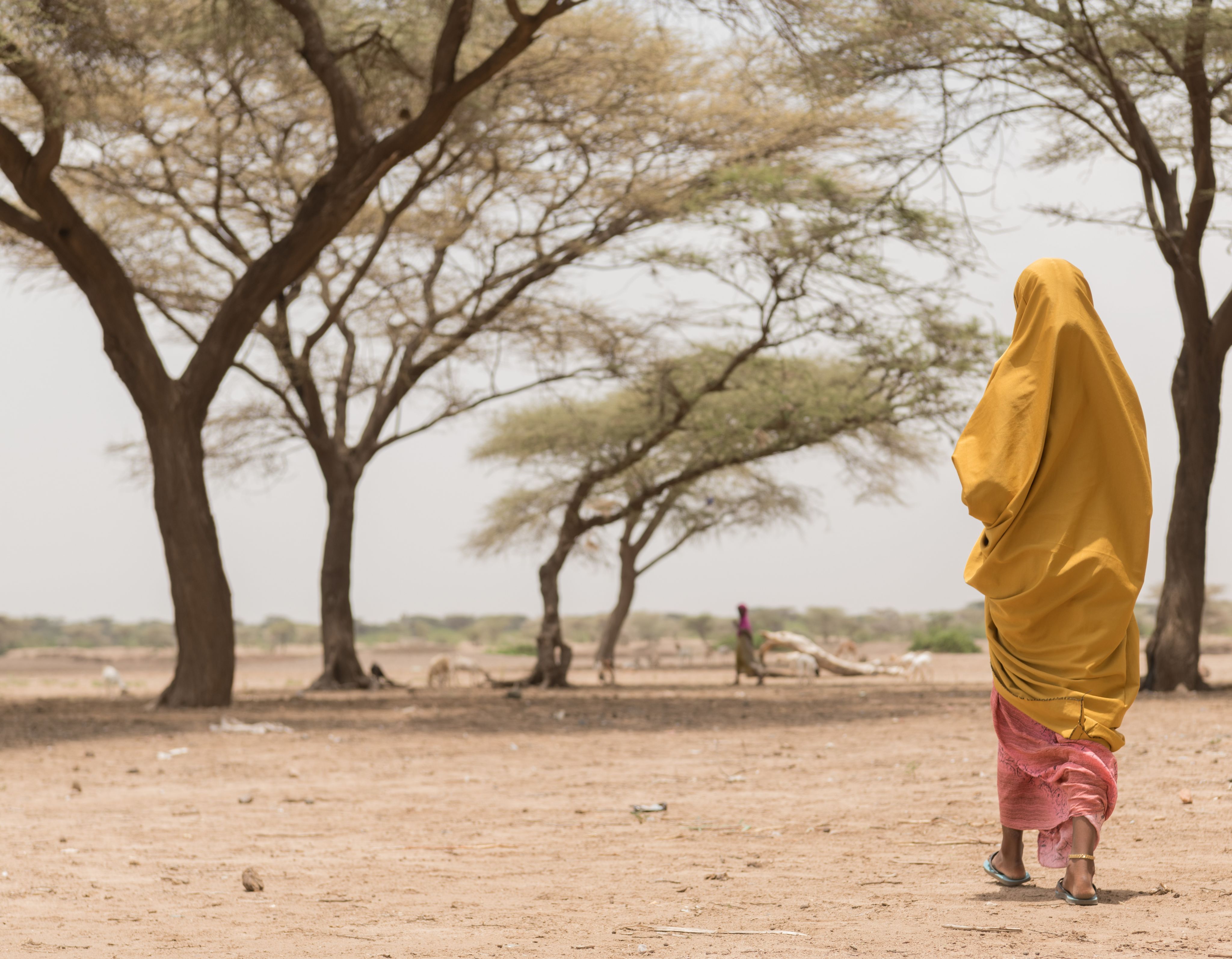 Aisha*, 13, near her family's home in a displacement camp in the Somali region, Ethiopia.