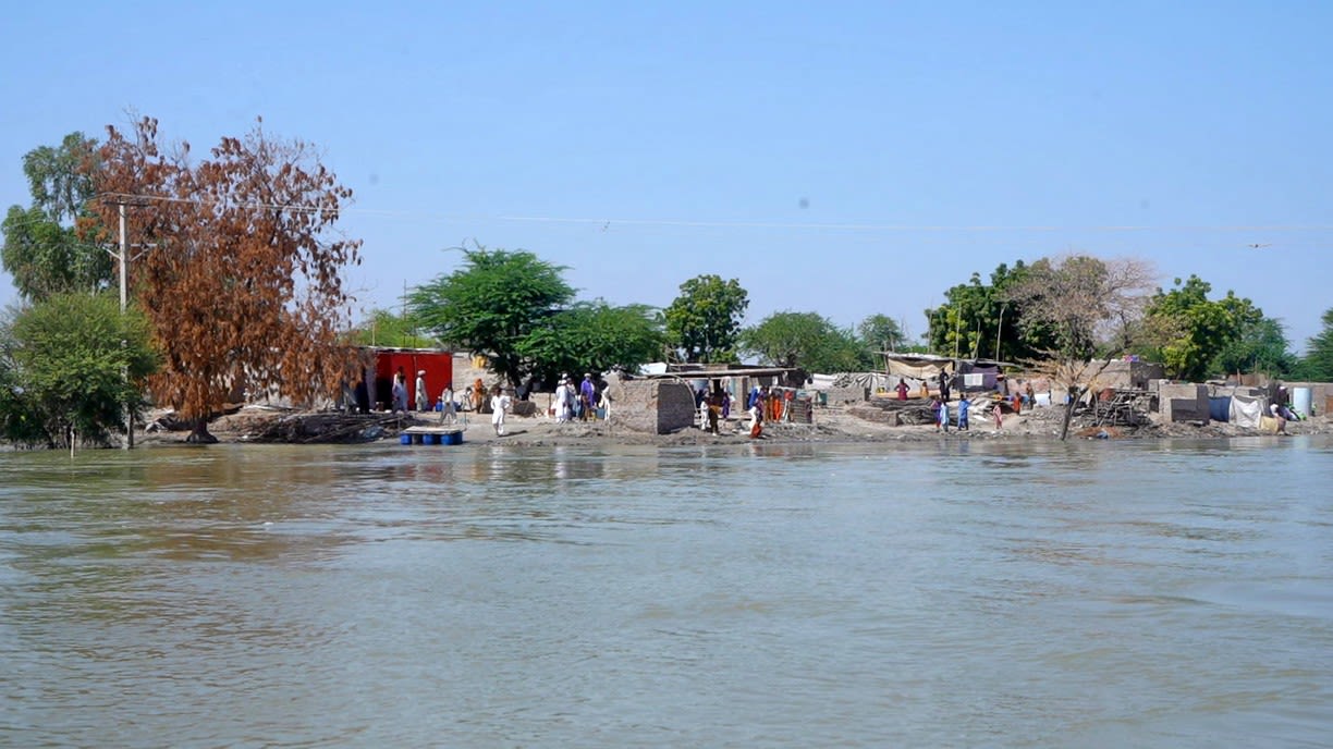 Floodwaters which have not receded in Pakistan's Sindh province, leaving villages, houses, schools and livelihoods underwater. 