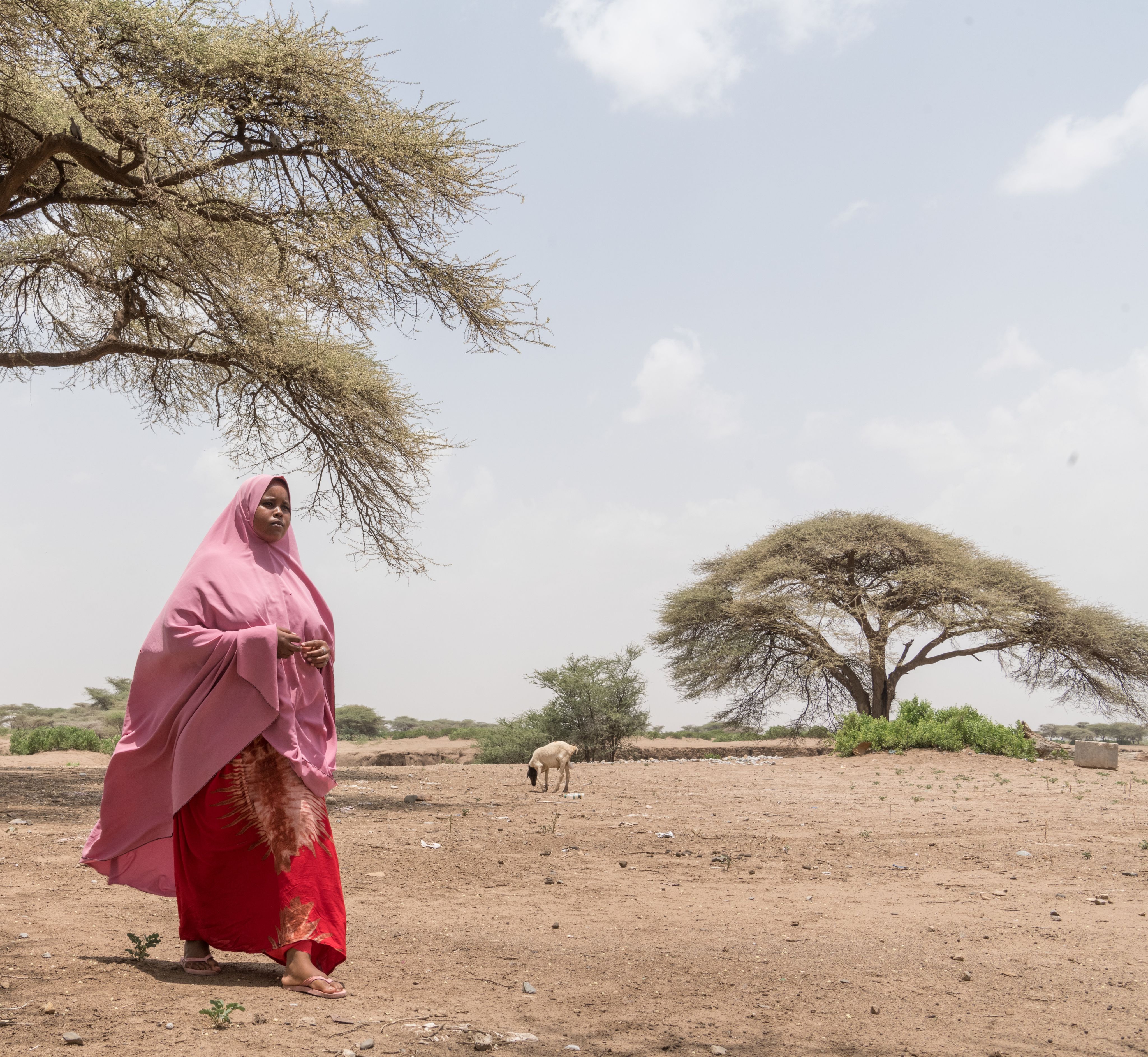 Saeda*, 16, walks near her family home in a displacement camp in the Somali region, Ethiopia.