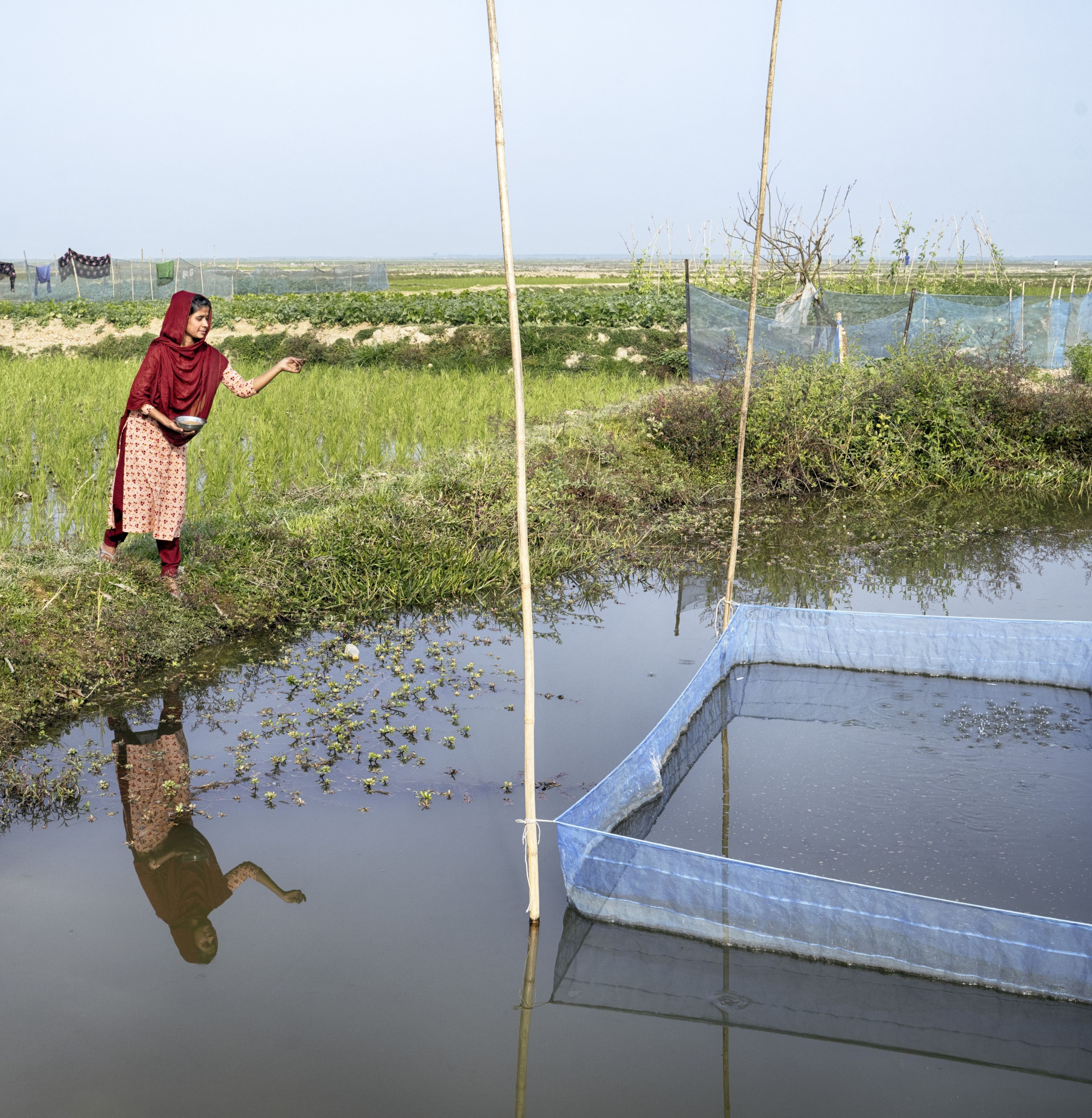Munni, 18, feeds the fish in her pond at home in Sylhet, Bangladesh