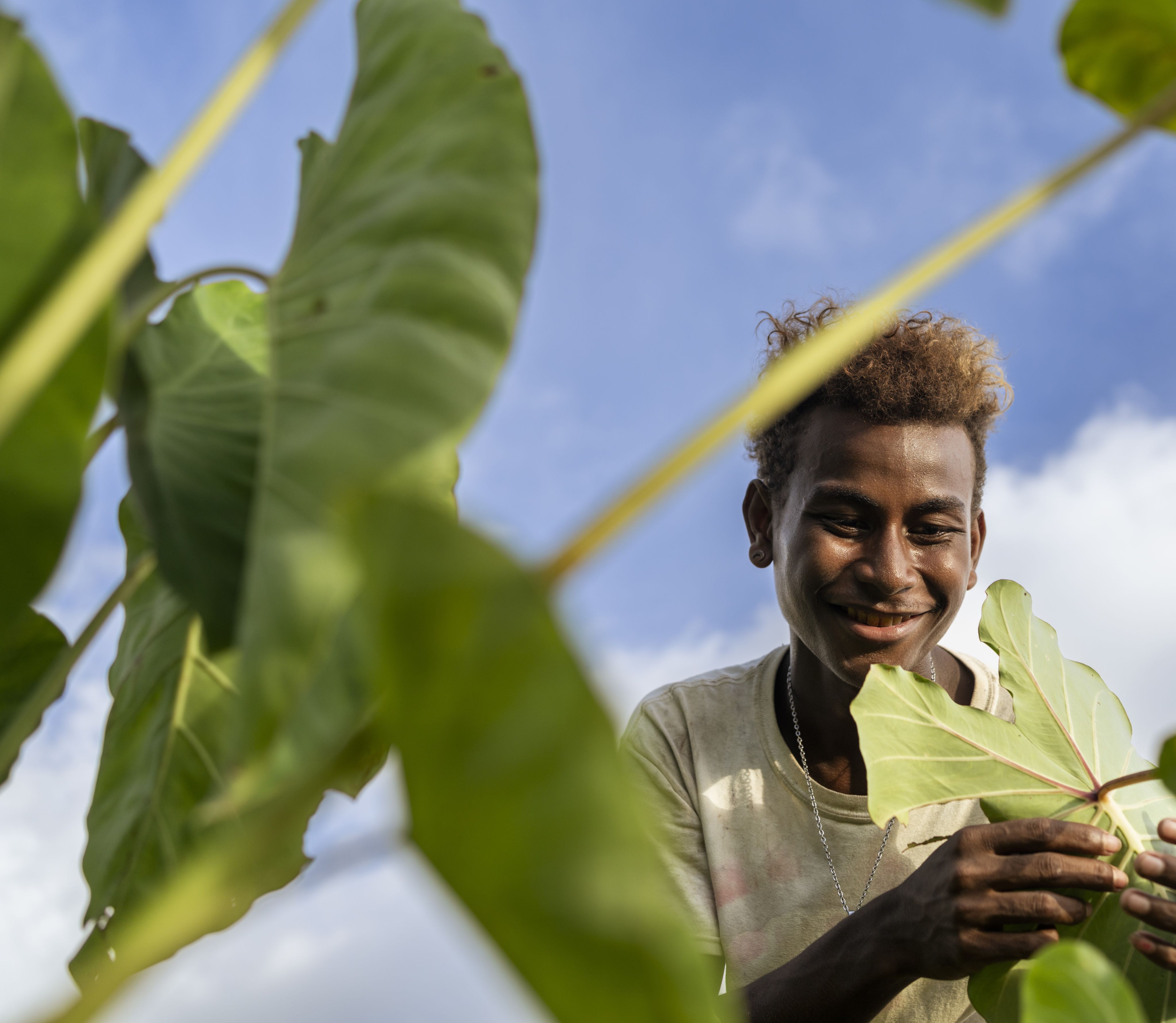 Junior, 16, inspecting taro plants he’s growing in a community garden in Malaita Province, the Solomon Islands.