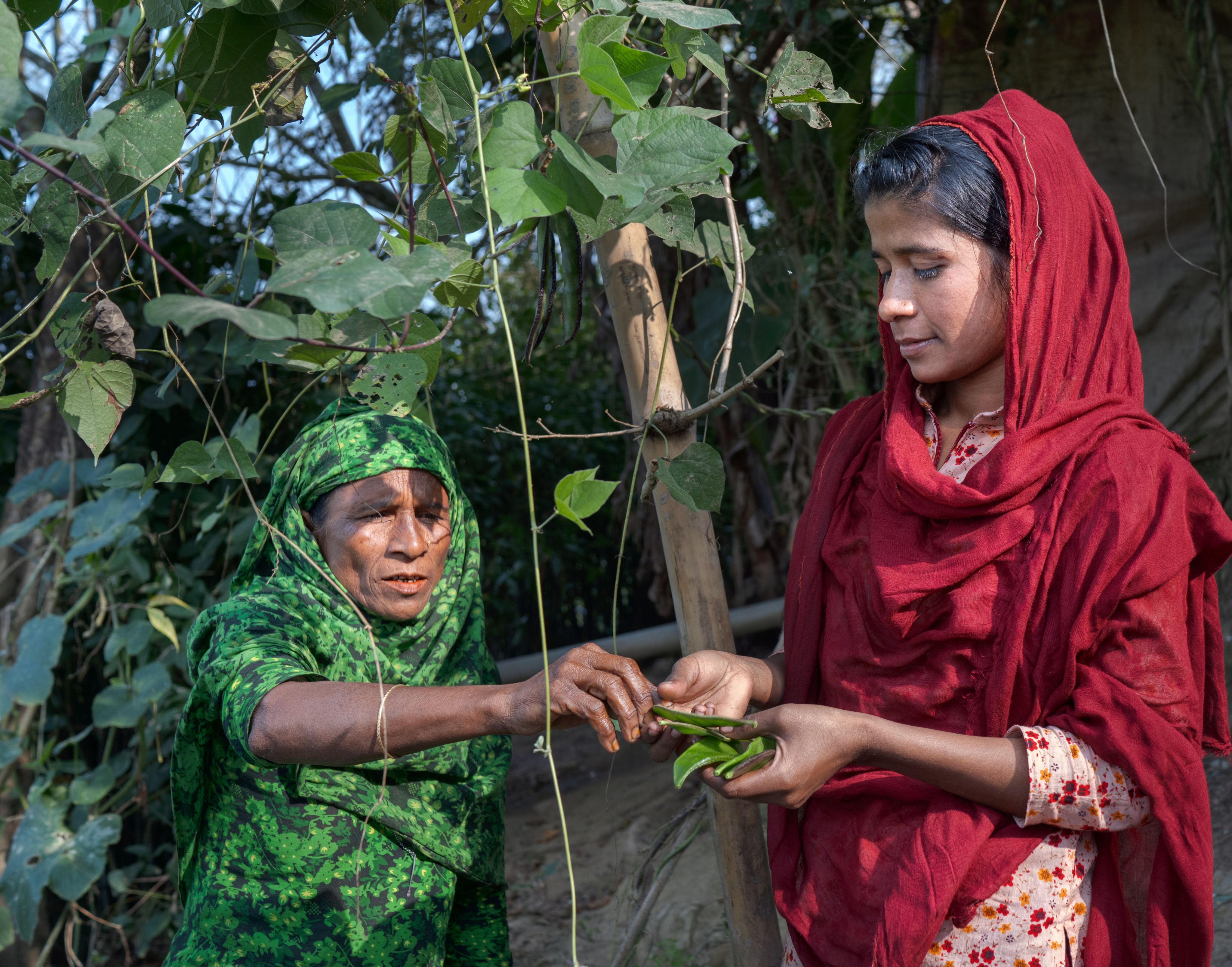 Munni, 18, and her mother pick beans for lunch at their home in Sylhet, Bangladesh.