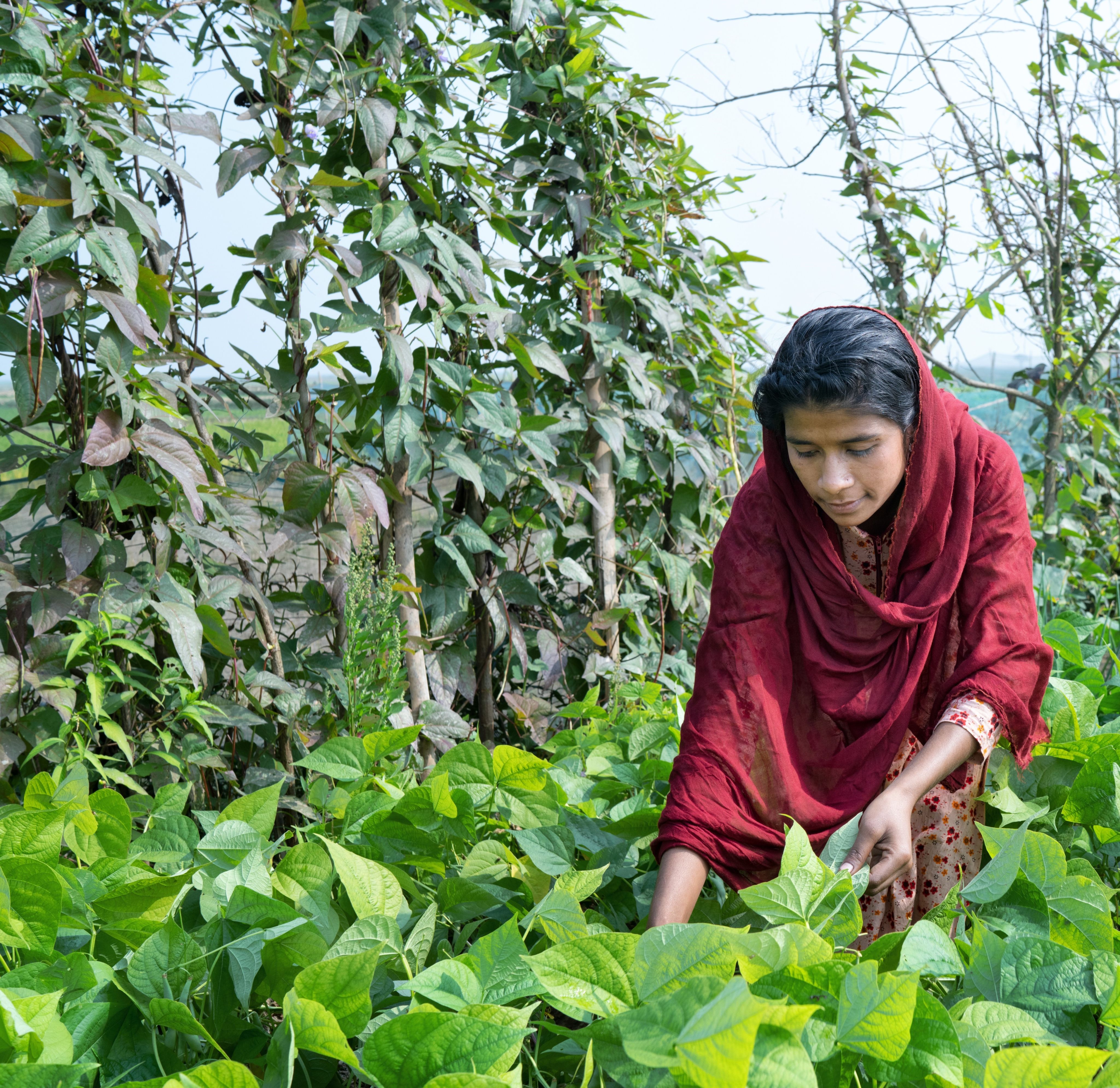 Munni, 18, tends to her home garden which she grew with support from Suchana in Sylhet, Bangladesh.